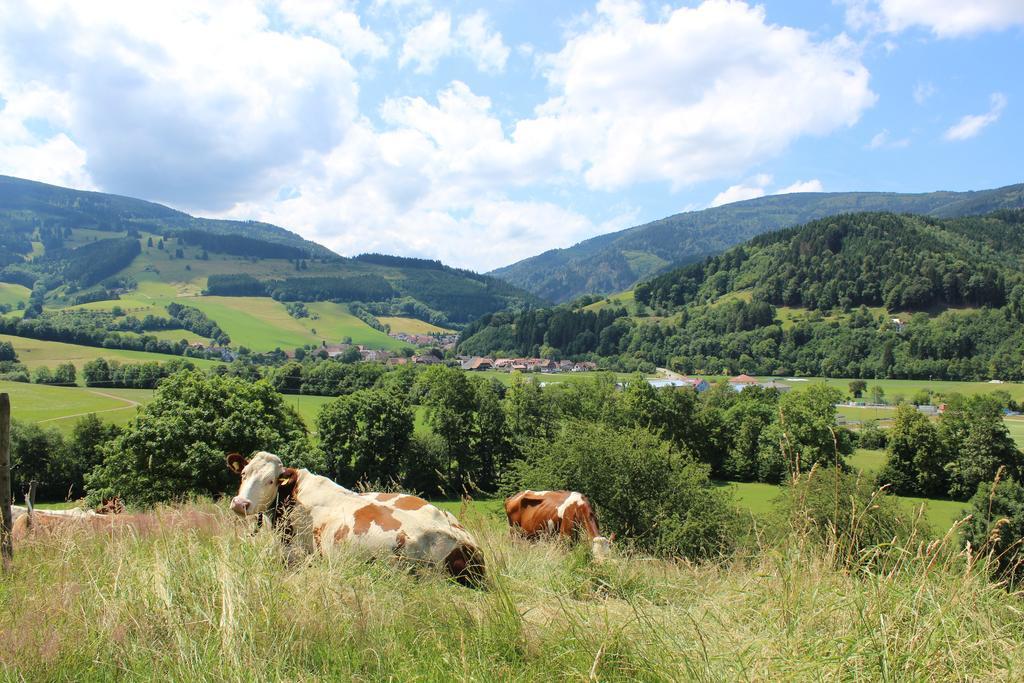 Hotel Landgasthof Zum Schuetzen