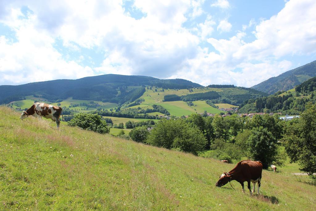 Landgasthof Zum Schuetzen Hotel 3*