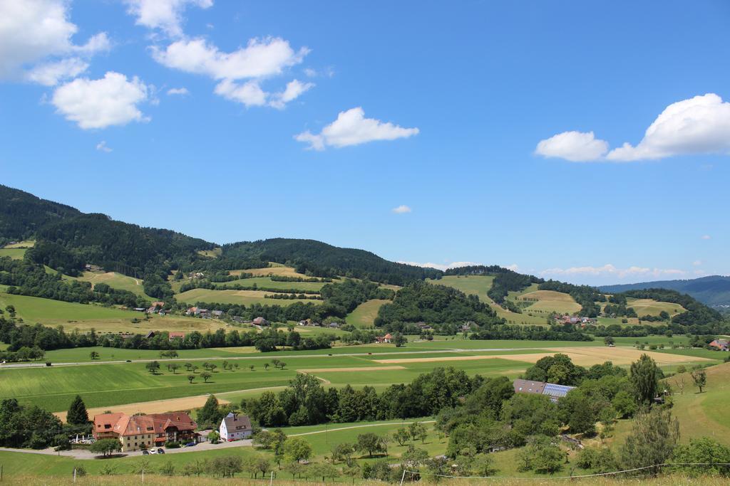 Landgasthof Zum Schuetzen 3* Oberried (Breisgau)